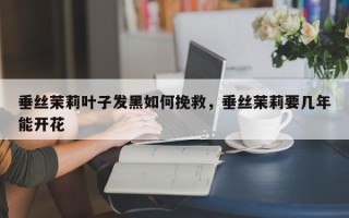 垂丝茉莉叶子发黑如何挽救，垂丝茉莉要几年能开花