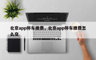 北京app停车缴费，北京app停车缴费怎么交