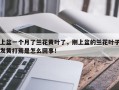 上盆一个月了兰花黄叶了，刚上盆的兰花叶子发黄打蔫是怎么回事！