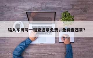 输入车牌号一键查违章免费，免费查违章？