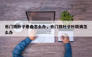 也门铁叶子卷曲怎么办，也门铁叶子叶斑病怎么办