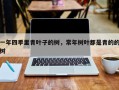 一年四季里青叶子的树，常年树叶都是青的的树