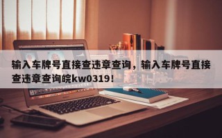 输入车牌号直接查违章查询，输入车牌号直接查违章查询皖kw0319！