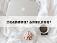 兰花永怀素特征？永怀素几月开花？