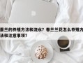 墨兰的养殖方法和浇水？春兰兰花怎么养殖方法和注意事项？