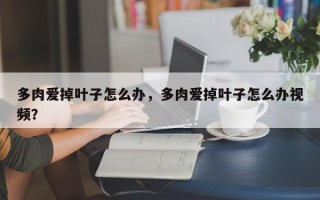多肉爱掉叶子怎么办，多肉爱掉叶子怎么办视频？
