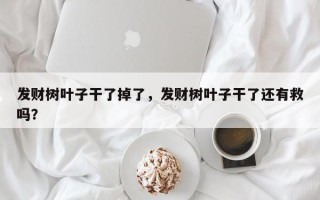 发财树叶子干了掉了，发财树叶子干了还有救吗？