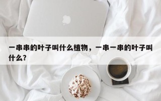 一串串的叶子叫什么植物，一串一串的叶子叫什么？