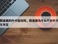 假连翘的叶子能吃吗，假连翘为什么只长叶子不开花