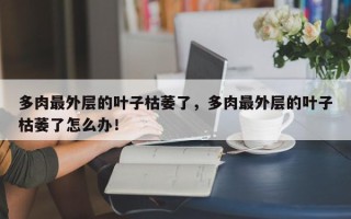 多肉最外层的叶子枯萎了，多肉最外层的叶子枯萎了怎么办！
