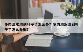 多肉浇水浇到叶子了怎么办？多肉浇水浇到叶子了怎么办呢？
