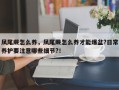 凤尾蕨怎么养，凤尾蕨怎么养才能爆盆?日常养护要注意哪些细节?！