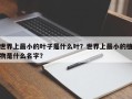 世界上最小的叶子是什么叶？世界上最小的植物是什么名字？