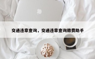 交通违章查询，交通违章查询缴费助手