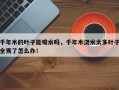 千年木的叶子能喷水吗，千年木浇水太多叶子全焉了怎么办！