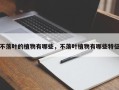 不落叶的植物有哪些，不落叶植物有哪些特征