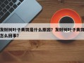 发财树叶子黄斑是什么原因？发财树叶子黄斑怎么回事？