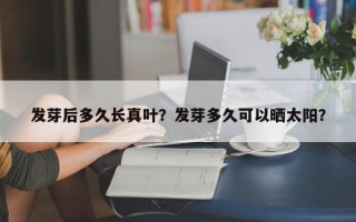 发芽后多久长真叶？发芽多久可以晒太阳？
