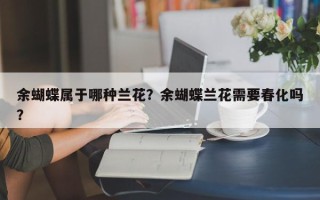 余蝴蝶属于哪种兰花？余蝴蝶兰花需要春化吗？