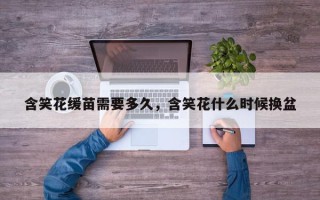 含笑花缓苗需要多久，含笑花什么时候换盆