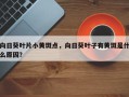 向日葵叶片小黄斑点，向日葵叶子有黄斑是什么原因？