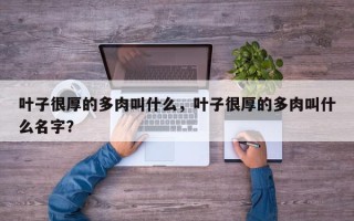 叶子很厚的多肉叫什么，叶子很厚的多肉叫什么名字？