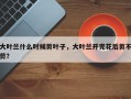 大叶兰什么时候剪叶子，大叶兰开完花后剪不剪？