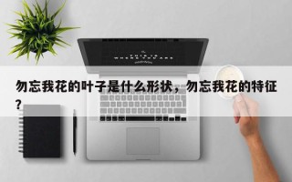 勿忘我花的叶子是什么形状，勿忘我花的特征？