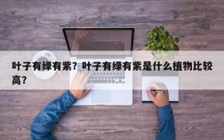 叶子有绿有紫？叶子有绿有紫是什么植物比较高？
