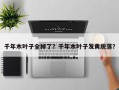 千年木叶子全掉了？千年木叶子发黄脱落？