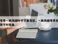 冬季一帆风顺叶子下垂发软，一帆风顺冬季出现干叶现象