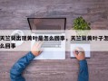 天竺葵出现黄叶是怎么回事，天竺葵黄叶子怎么回事