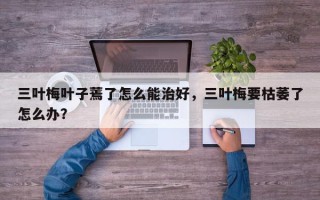 三叶梅叶子蔫了怎么能治好，三叶梅要枯萎了怎么办？