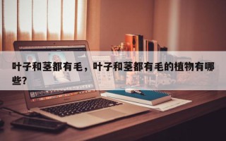 叶子和茎都有毛，叶子和茎都有毛的植物有哪些？