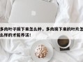 多肉叶子摘下来怎么种，多肉摘下来的叶片怎么样的才能养活！