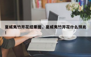 夏威夷竹开花结果图，夏威夷竹开花什么预兆！