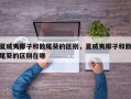 夏威夷椰子和散尾葵的区别，夏威夷椰子和散尾葵的区别在哪