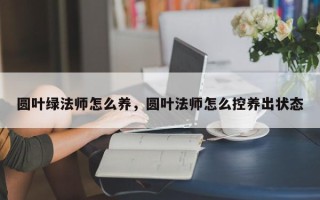 圆叶绿法师怎么养，圆叶法师怎么控养出状态