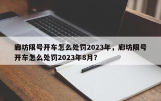 廊坊限号开车怎么处罚2023年，廊坊限号开车怎么处罚2023年8月？