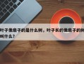 叶子像扇子的是什么树，叶子长的像扇子的树叫什么？