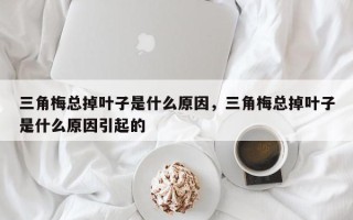 三角梅总掉叶子是什么原因，三角梅总掉叶子是什么原因引起的