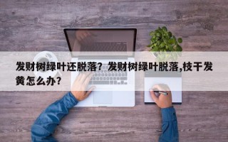 发财树绿叶还脱落？发财树绿叶脱落,枝干发黄怎么办？