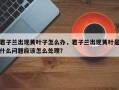 君子兰出现黄叶子怎么办，君子兰出现黄叶是什么问题应该怎么处理？