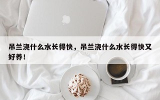 吊兰浇什么水长得快，吊兰浇什么水长得快又好养！