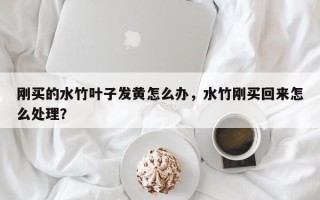 刚买的水竹叶子发黄怎么办，水竹刚买回来怎么处理？