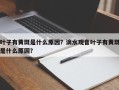 叶子有黄斑是什么原因？滴水观音叶子有黄斑是什么原因？