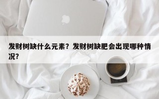 发财树缺什么元素？发财树缺肥会出现哪种情况？