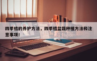 四季桔的养护方法，四季桔盆栽种植方法和注意事项！