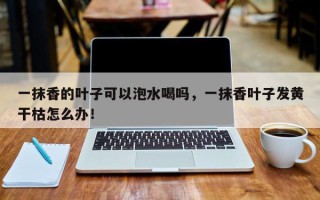 一抹香的叶子可以泡水喝吗，一抹香叶子发黄干枯怎么办！
