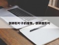 倒卵形叶子的植物，倒卵圆形叶